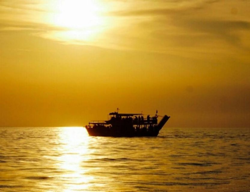 From Poreč: Evening Dolphin Cruise with Welcome Drink - The views toward Rovinj and the Istrian coast