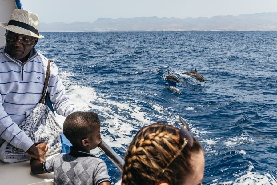 From Puerto Rico de Gran Canaria: Dolphin Watching Cruise - Who should book this dolphin cruise?