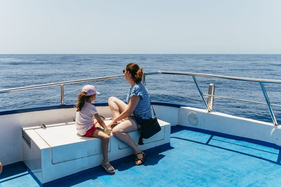 From Puerto Rico de Gran Canaria: Dolphin Watching Cruise - The Spirit of the Sea and its unusual glass bottom
