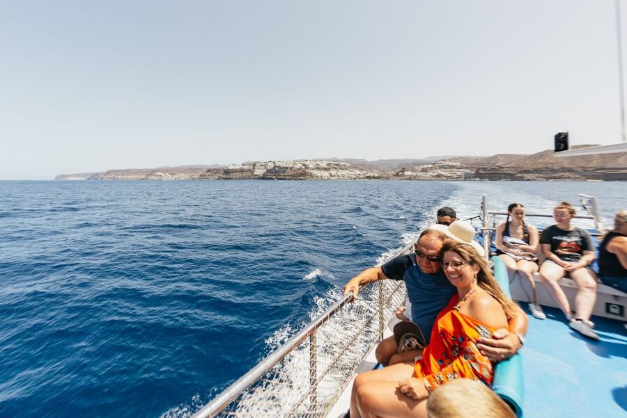 From Puerto Rico de Gran Canaria: Dolphin Watching Cruise - How strong is the sighting guarantee?