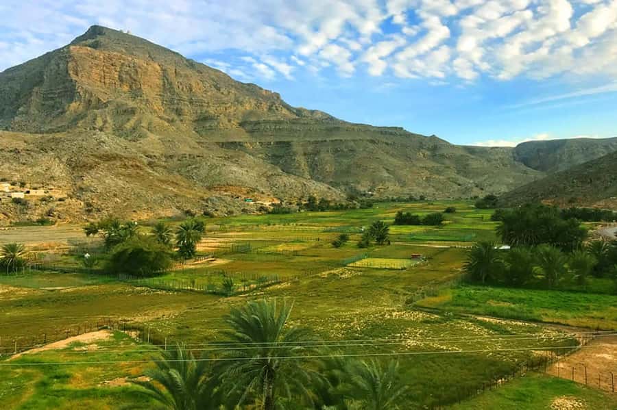 From Ras Al Khaima : Dolphin Watching and Jabal Harim Safari - What the $760 price means for a group of four