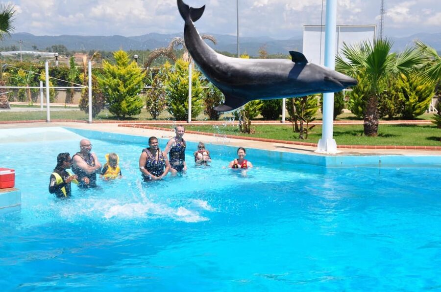 From Side Dolphin and Seal Show Ticket with Hotel Transfers - Language support and meeting details