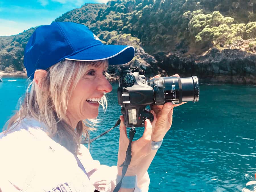 From Tauranga: Dolphin and Wildlife Cruise - Key points at a glance