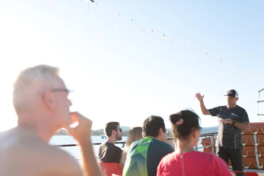 From Tauranga: Dolphin and Wildlife Cruise - Sea conditions and motion sickness