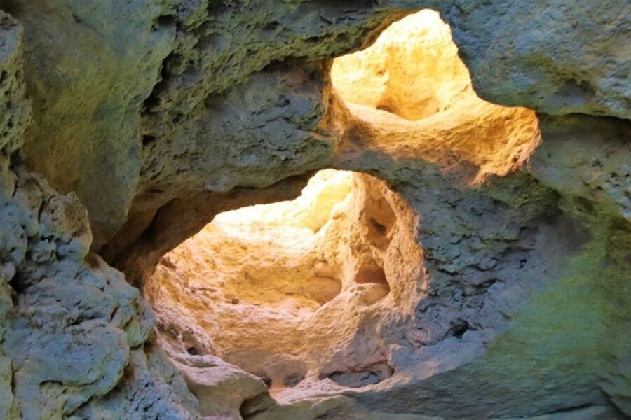 From Vilamoura: 2.5-Hour Benagil Cave and Dolphins Boat Tour - Who will enjoy this trip most?