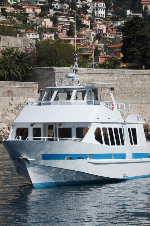 From Villefranche-sur-Mer: Guided Dolphin-Watching Tour - What the cetacean ethologist adds