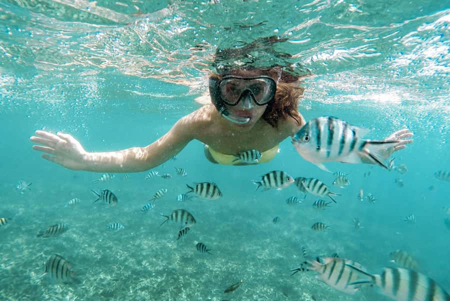 From Zanzibar: Mnemba Boat Tour with Snorkeling & Dolphine - Setting out from Nungwi or Kendwa
