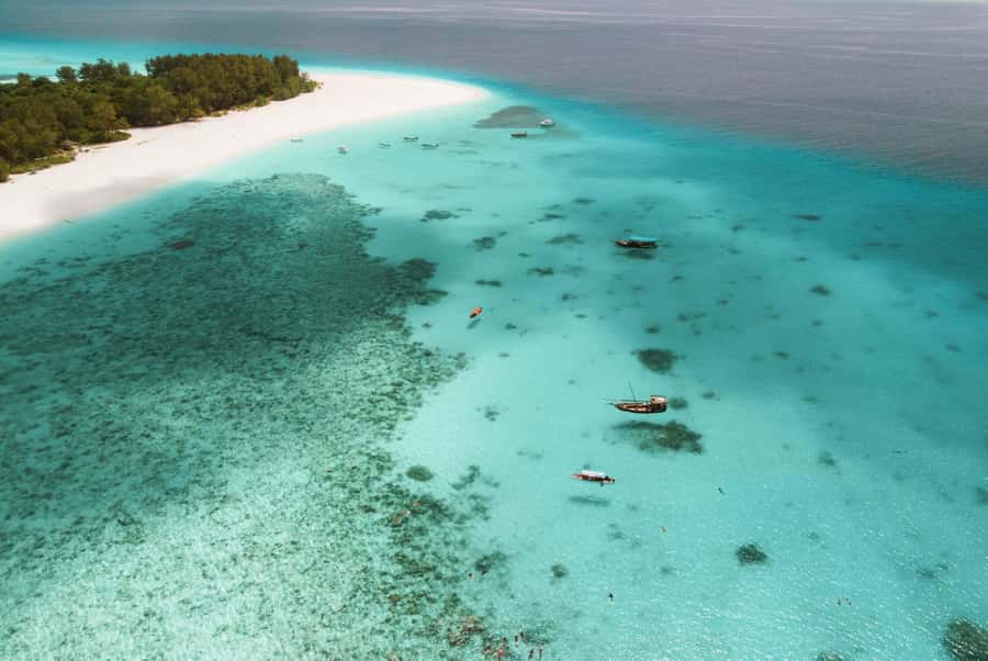 From Zanzibar: Mnemba Boat Tour with Snorkeling & Dolphine - Mnemba Atoll and the reef snorkeling