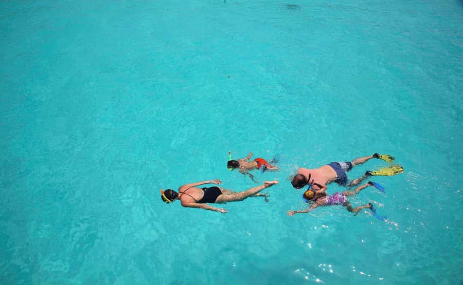 From Zanzibar: Mnemba Boat Tour with Snorkeling & Dolphine - Why crowding changes the feel of the day