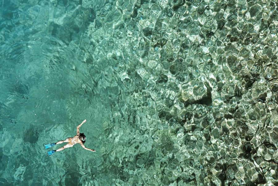 From Zanzibar: Mnemba Boat Tour with Snorkeling & Dolphine - Timing, duration, and the return to Zanzibar