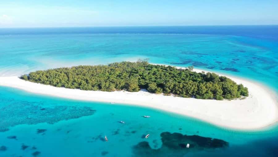 From Zanzibar: Mnemba Boat Trip Dolphins Adventure trip - Key points at a glance