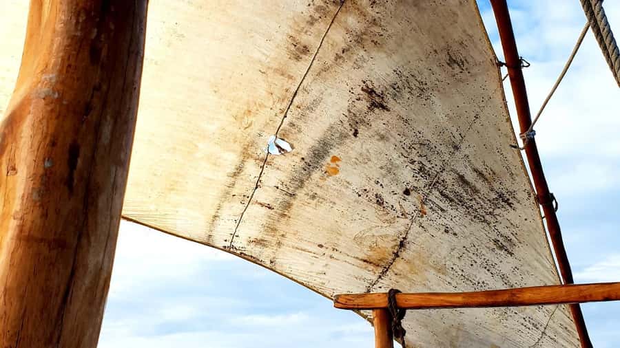 From Zanzibar: Mnemba Boat Trip Dolphins Adventure trip - A six-hour morning from your hotel to Matemwe