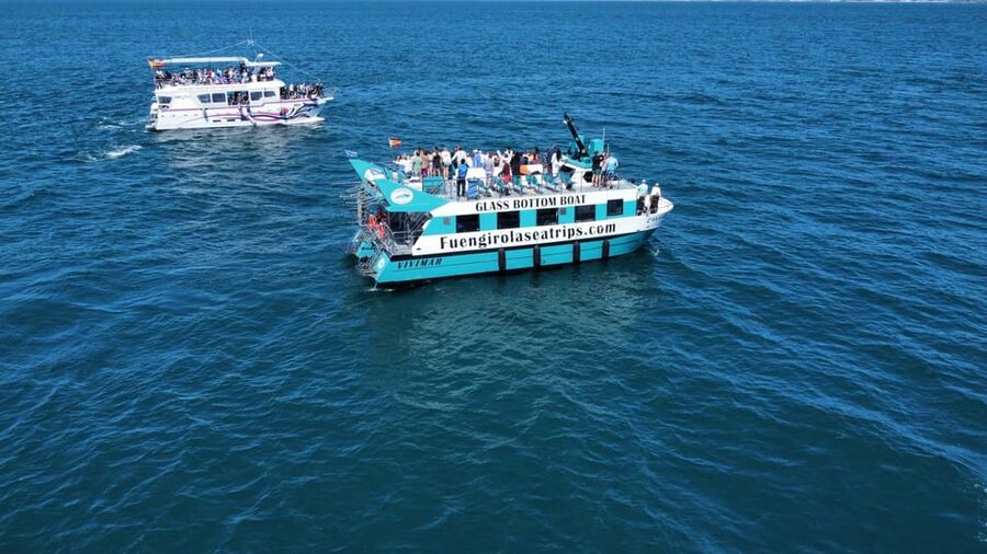 Fuengirola: Catamaran Tour to Spot Dolphins - Key things to know before you sail
