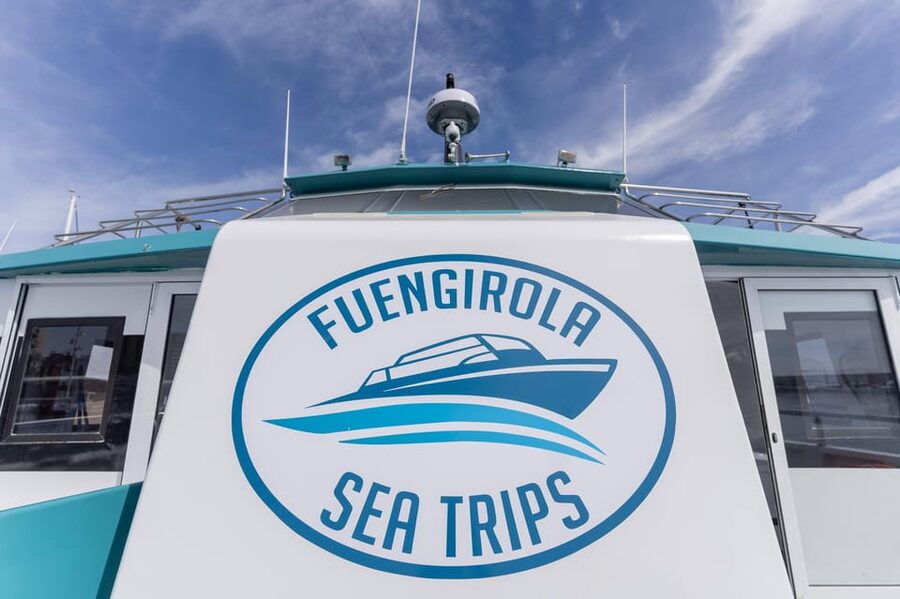 Fuengirola: Catamaran Tour to Spot Dolphins - Watching dolphins in their natural home