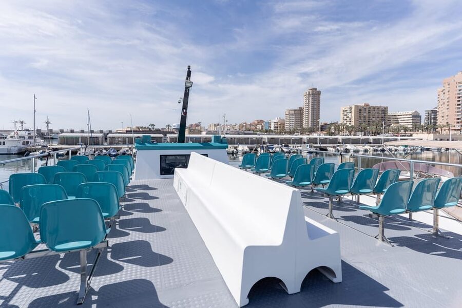 Fuengirola: Catamaran Tour to Spot Dolphins - Sea conditions, seasickness, and family comfort