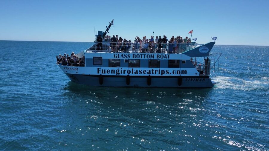 Fuengirola: Catamaran Tour to Spot Dolphins - Finding your best place on the catamaran