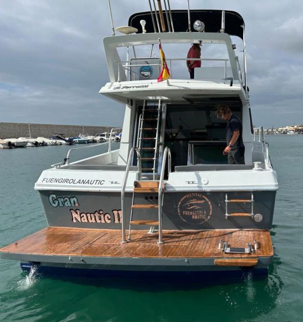 Fuengirola: Dolphin Spotting Tour - Searching for dolphins in open water