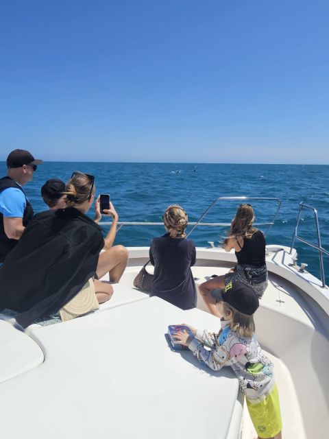 Fuengirola: Dolphin Watching Boat Trip — Fun for All Ages - Weather, scheduling, and the practical details