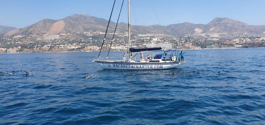 Fuengirola: Dolphin-Watching Sailing Tour with Drinks - Searching for dolphins along the Costa del Sol