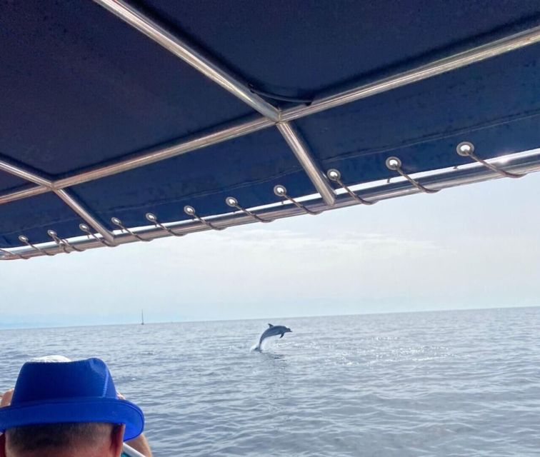 Fuengirola: Fantastic Dolphin Watching Yacht Tour with Drink - Who should book this Fuengirola cruise?