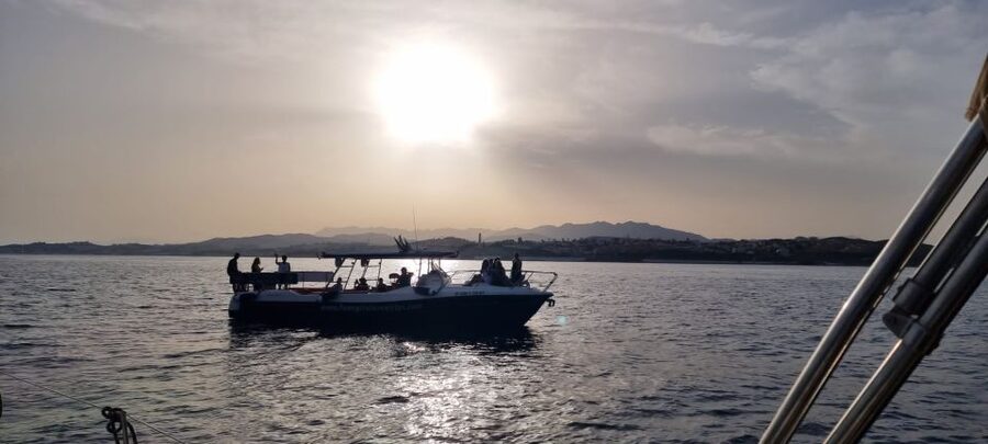 Fuengirola: Fantastic Dolphin Watching Yacht Tour with Drink - What the skipper and commentary add