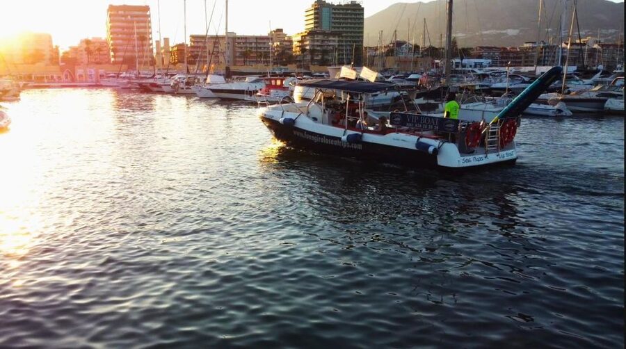Fuengirola: Fantastic Dolphin Watching Yacht Tour with Drink - Coastal views from the covered and open decks