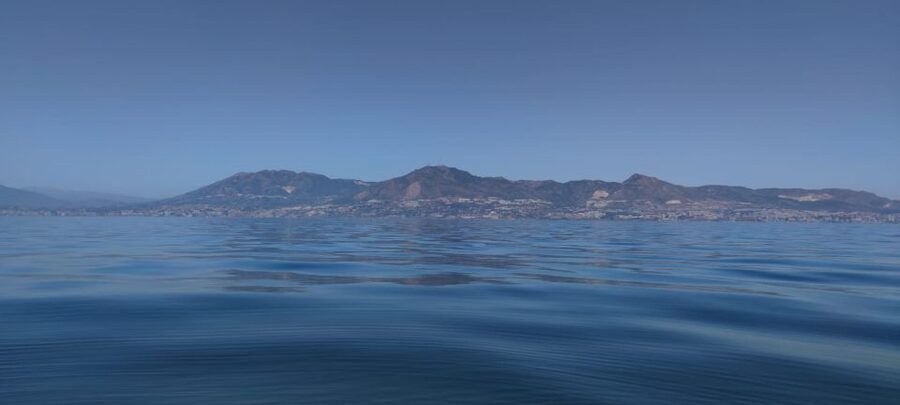 Fuengirola: Fantastic Dolphin Watching Yacht Tour with Drink - Is the $41 price good value?