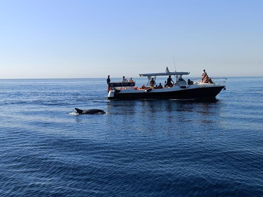 Fuengirola: Fantastic Dolphin Watching Yacht Tour with Drink - Family comfort, access, and practical planning