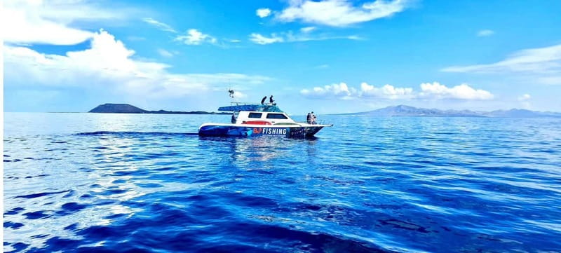 Fuerteventura: Dolphin watching and Lobo Island Combo Cruise - What to pack and how to prepare
