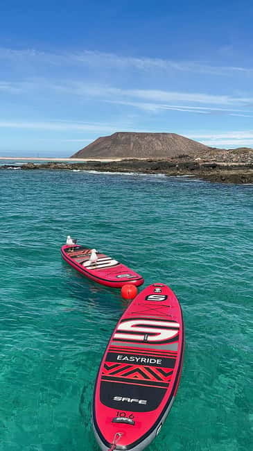 Dolphin watching and Lobo Island Combo Cruise