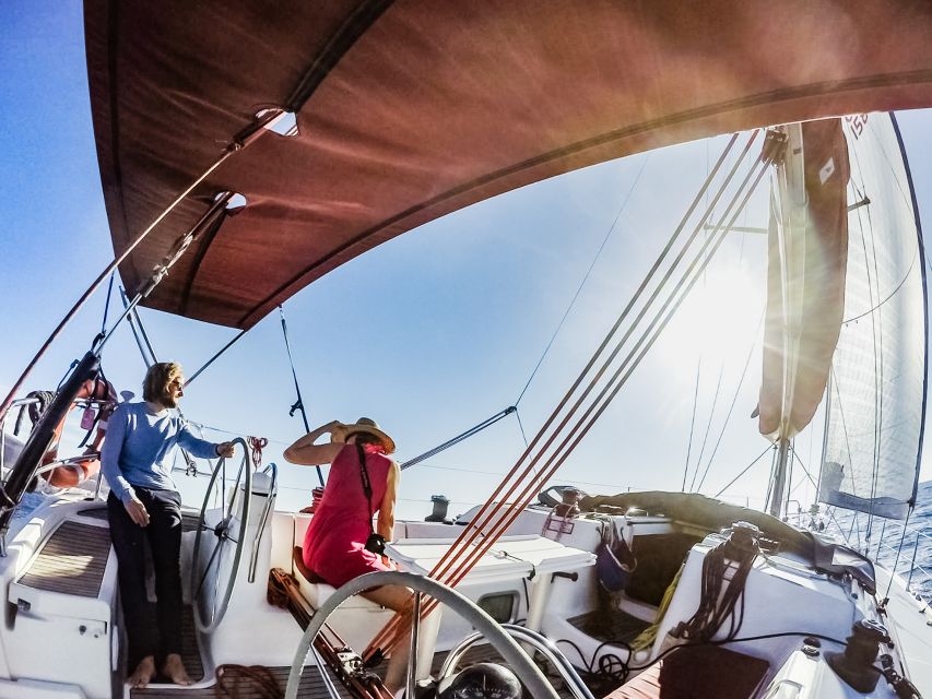 Fuerteventura: Sailing with Snorkeling and Dolphin Watching - Finding dolphins and whales in the open sea