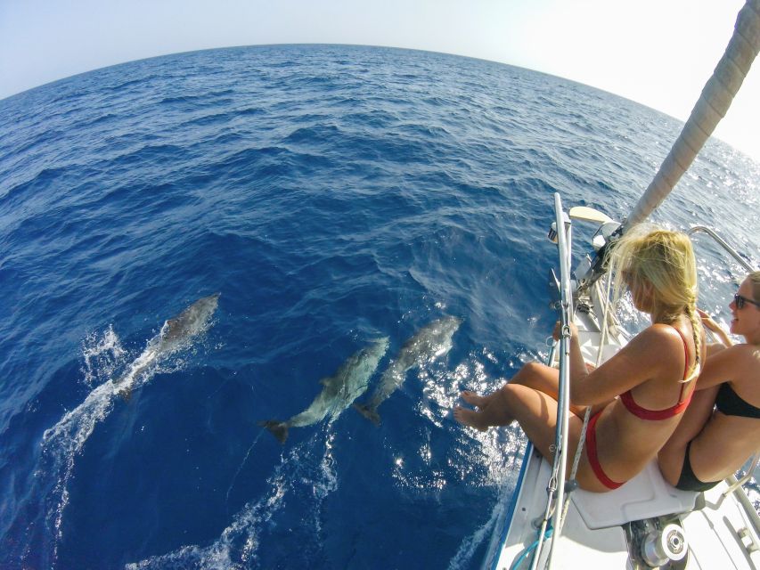 Fuerteventura: Sailing with Snorkeling and Dolphin Watching - Swimming and snorkeling near the coast