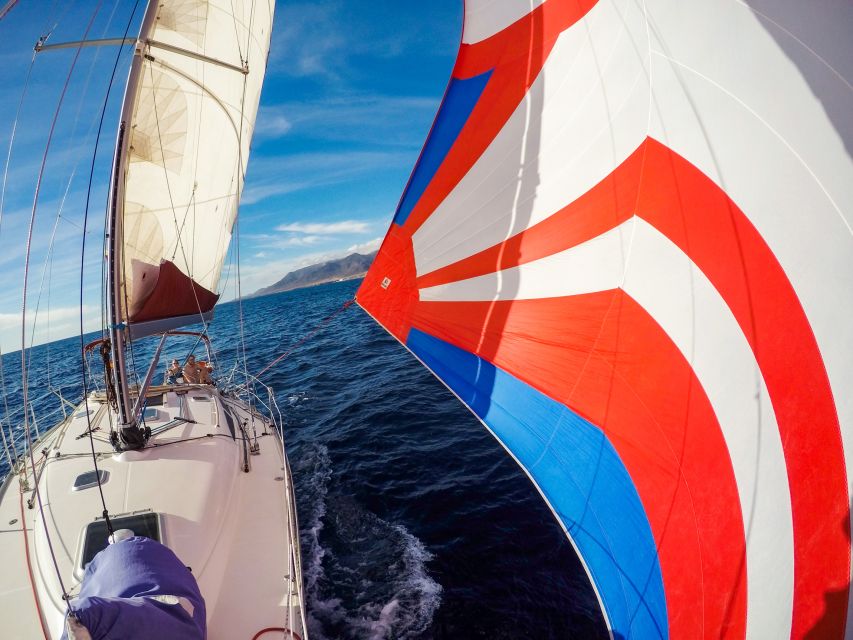 Fuerteventura: Sailing with Snorkeling and Dolphin Watching - Is $104 good value?