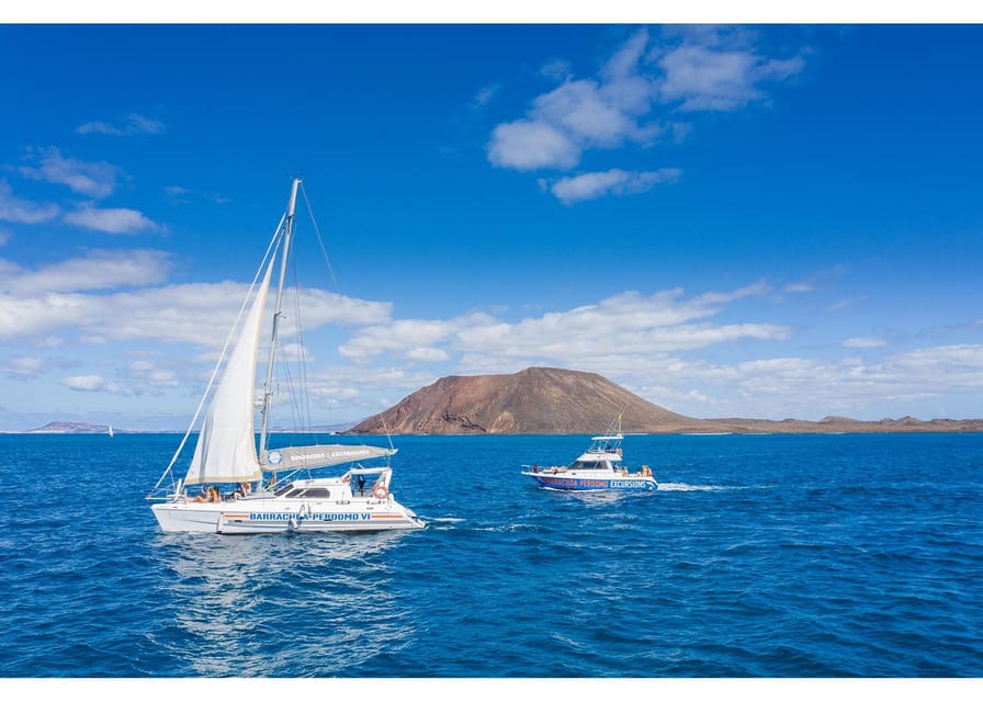 Fuerteventura: Whale & Dolphin Watching Boat Tour with Guide - Key points at a glance