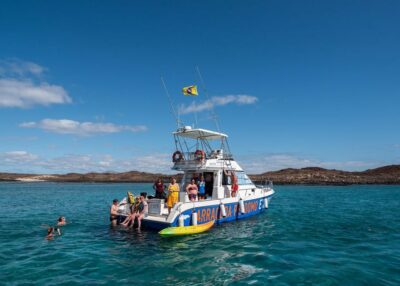 Whale & Dolphin Watching Boat Tour with Guide