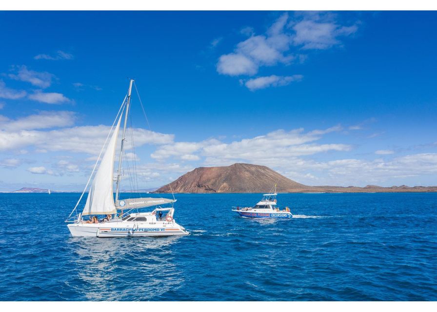 Fuerteventura: Whale & Dolphin Watching Boat Tour with Guide - Lunch, drinks, and the practical comfort