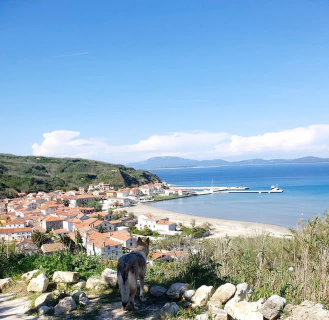 Full day boat-trip Medulin, blue Cave, Cres + dolphin search - What the $88 price really covers
