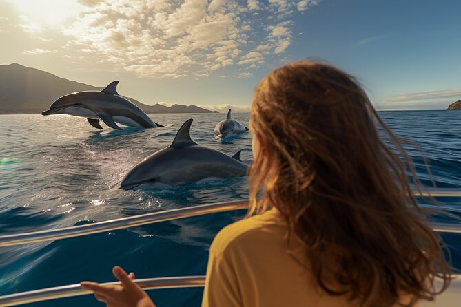 Full day Dhow: Khasab, Musandam: Dolphins, Snorkeling & Fjords - The day at a glance