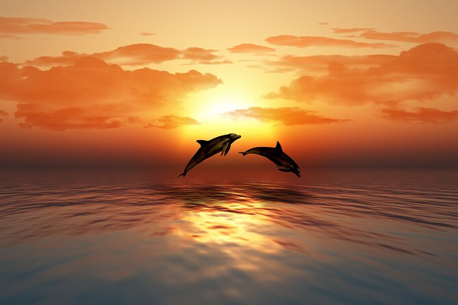 Full day Dhow: Khasab, Musandam: Dolphins, Snorkeling & Fjords - Cruising Khor Sham by traditional dhow