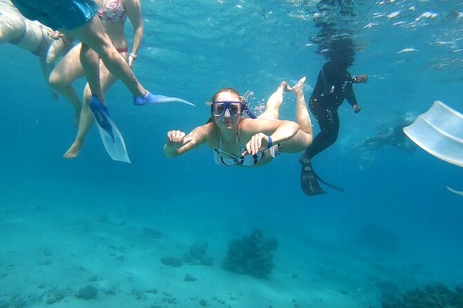 Full-day Dolphin House And Swim With Dolphin - Lunch, drinks, and the reality of food quality