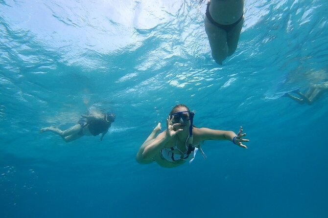 Full-day Dolphin House And Swim With Dolphin - Who will enjoy this day most?