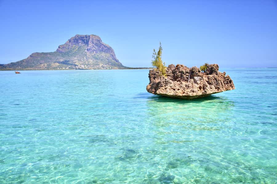 Full Day Dolphins Watching Ile aux Benitiers & Crystal Rock - An early start at La Preneuse Beach
