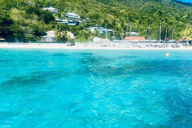 Full day EN Catamaran Martinique Dolphins and Turtles - Colombo lunch and island drinks