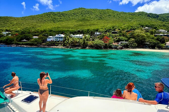 Full day EN Catamaran Martinique Dolphins and Turtles - Green turtles at Grande Anse