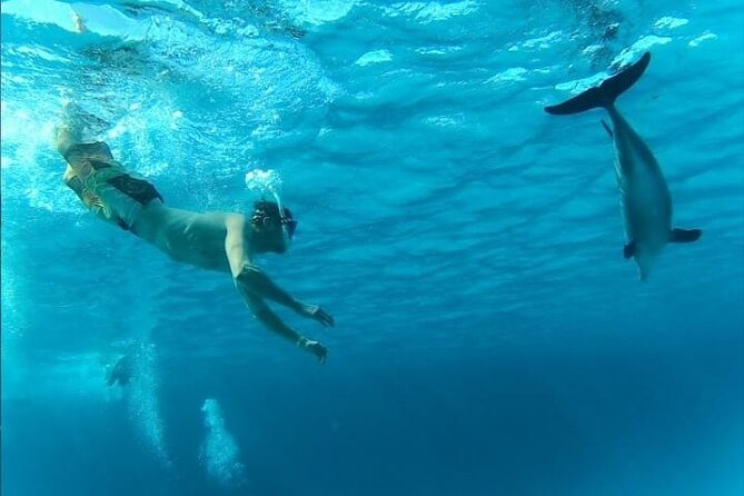 Full-Day Experience with Dolphins and Snorkeling in Red Sea - Who will enjoy this Hurghada excursion