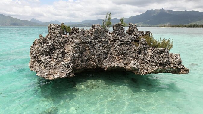 Full day Shared Speedboat Tour - South West Lagoon Dolphin Swim - Key points at a glance
