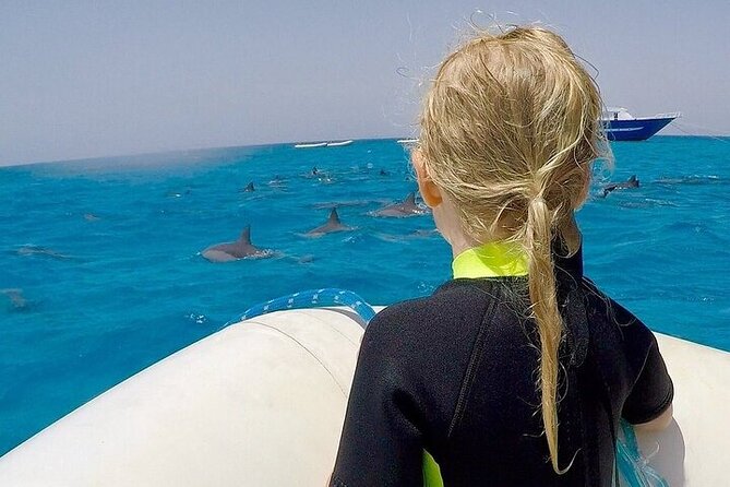 Full Day Snorkeling in Hurghada Dolphin House - The Dolphin House stop and wild encounters