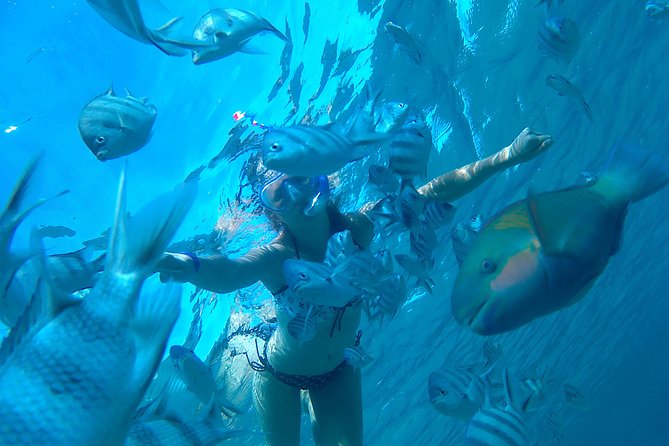 Full-Day Snorkeling with Dolphins in Hurghada with Lunch - Key points before you book