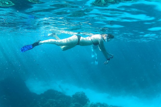 Full-Day Snorkeling with Dolphins in Hurghada with Lunch - Comfort, weather, and the long hours aboard