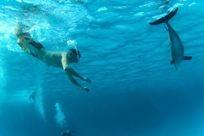 Full-Day Snorkeling with Dolphins in Hurghada with Lunch - Booking details worth handling carefully